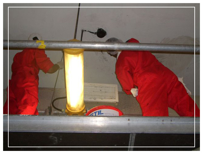 Fungal Decontamination and AEGIS Treatment Part 1
