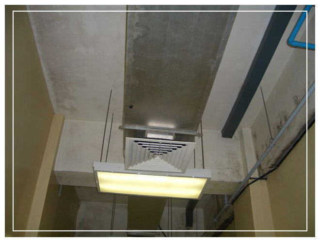 Fungal Decontamination and AEGIS Treatment Part 2